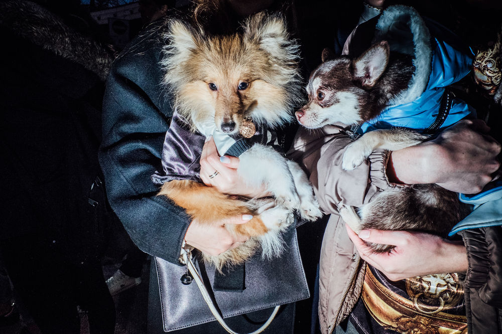 Brussels Philharmonic | Mozart & Haydn | 10.12.22 | Flagey