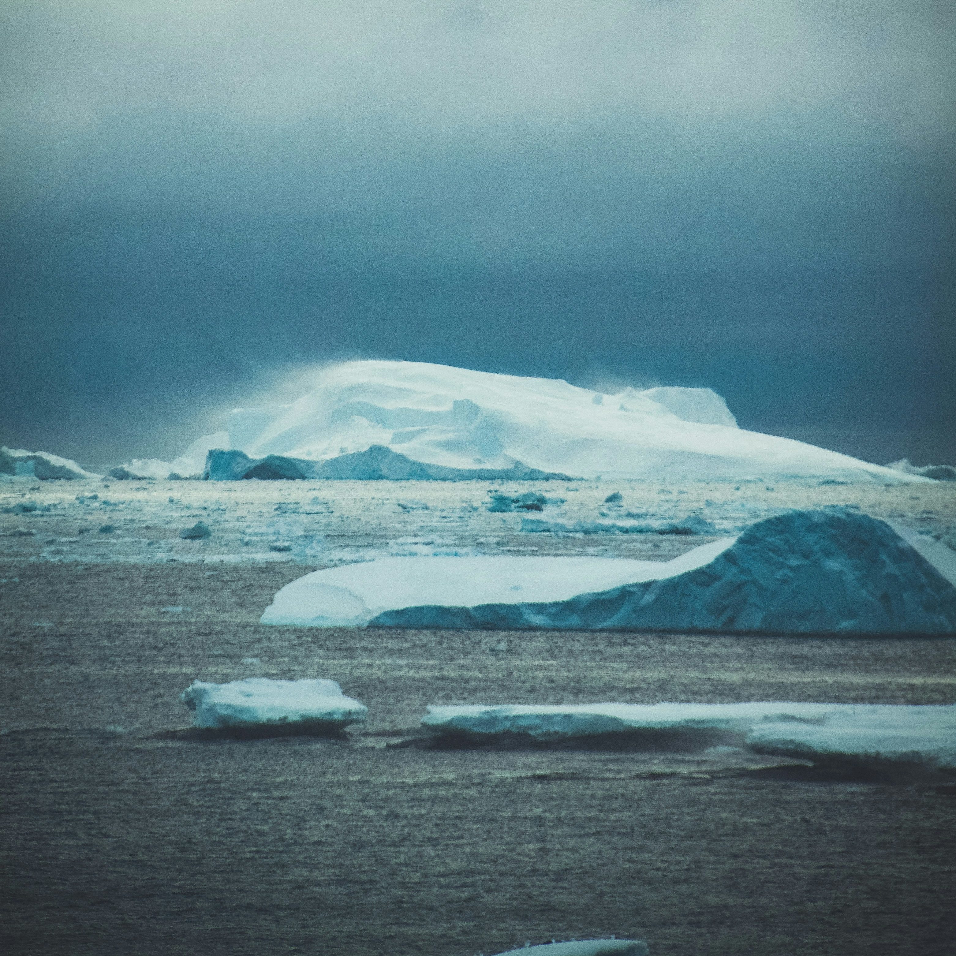 Ars Musica: Arctic Fever